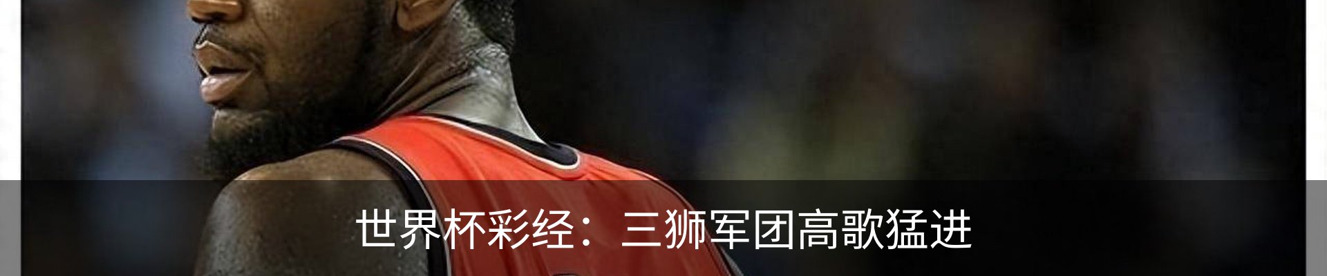 最新动态