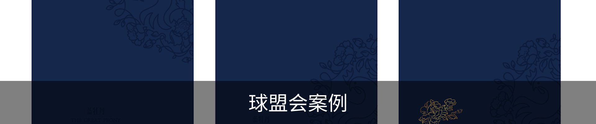 球盟会案例